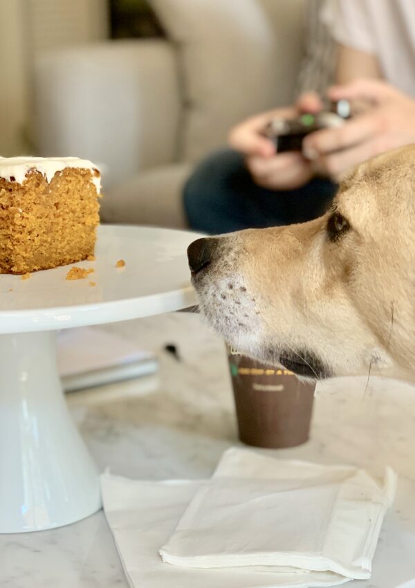 Pumpkin Bars